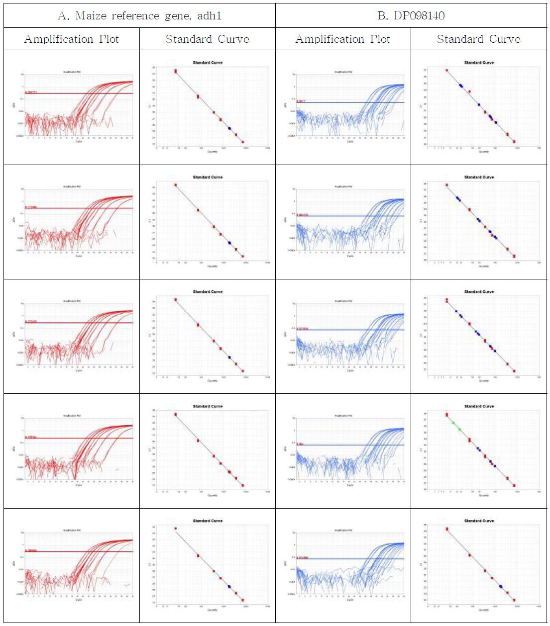 Amplification plots and standard curves for DP98140 event-specific quantitative Real-time PCR method using gradient-diluted DP98140 CRM genomic DNA as the template, performed by Lab. 2. A. Amplification graph and standard curves for the maize reference gene, adh1 assay. B. Amplification graph and standard curves for the DP98140-event specific assay.