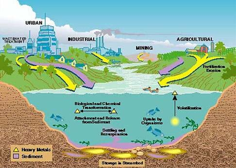 Fig 1. Heavy metal contamination in environment