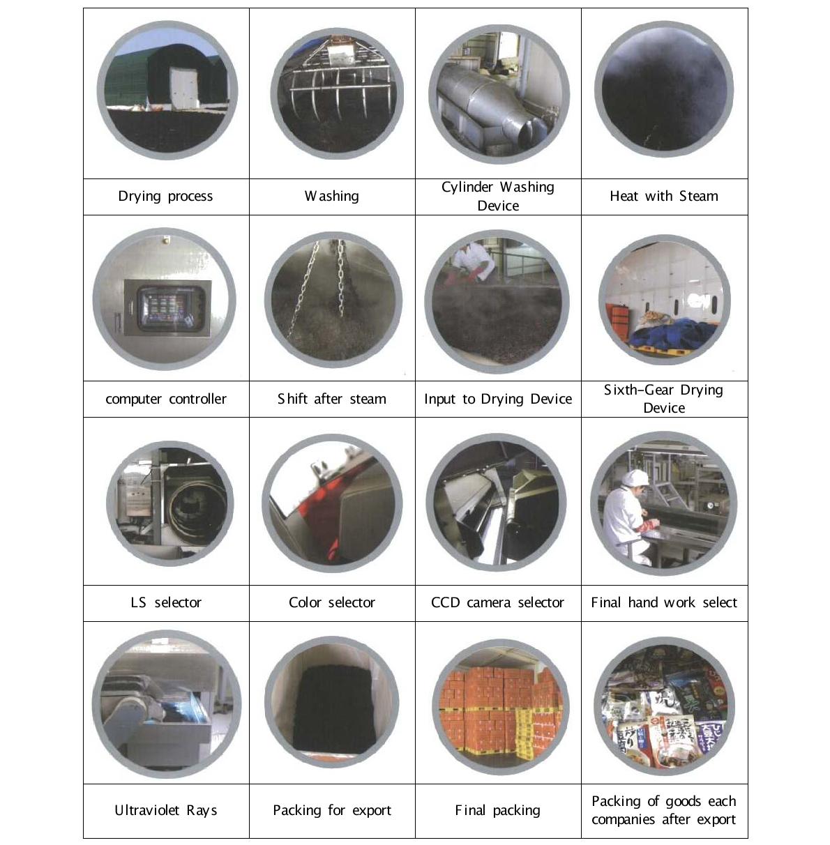 Manufacturing process of steamed hijiki