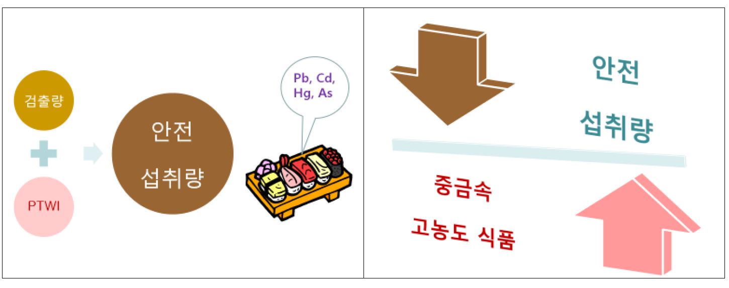 Fig. 5. Graphical explanation of Consumption Rate (최대허용섭취량)