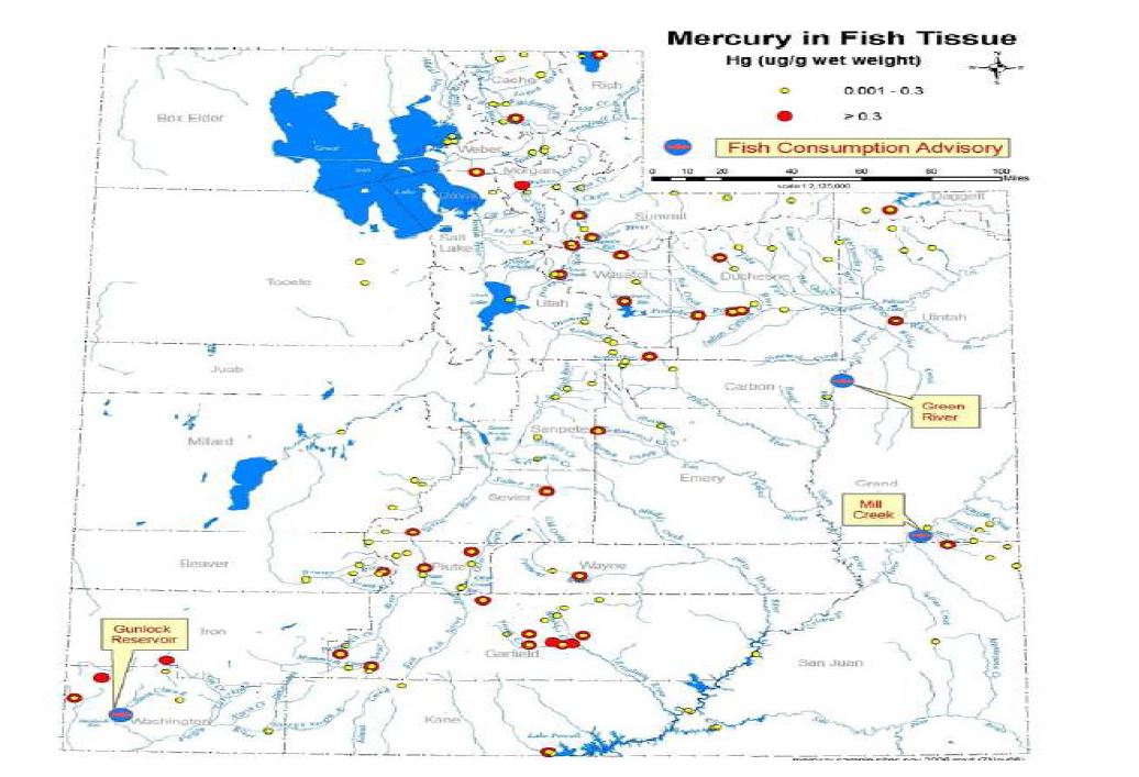 Fig 7. Location of fish sampling site 2004-2006 of Utah, to assess methylmercury concentrations in fishes in local water bodies (UDOH, 2007)