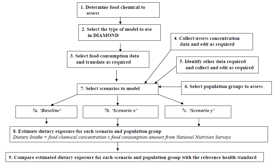 Figure 6 An example of the steps in undertaking a dietary exposure assessment using DIAMOND