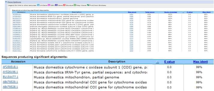 NCBI Blast search를 통한 집파리(Musca domestica)염기서열 매칭작업