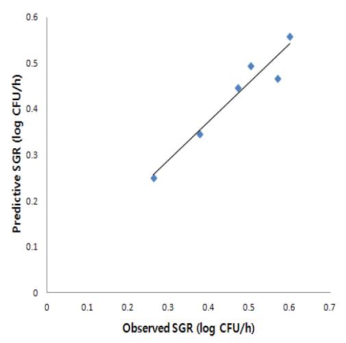 시루떡에서 Escherichia coli의 SGR 실측값과 예측값 비교