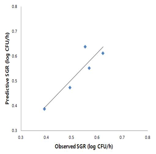 경단에서 Escherichia coli의 SGR 실측값과 예측값 비교