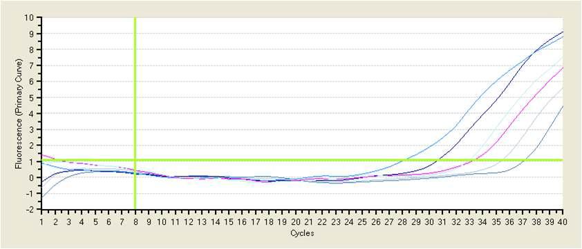 HEV Realtime RT-PCR