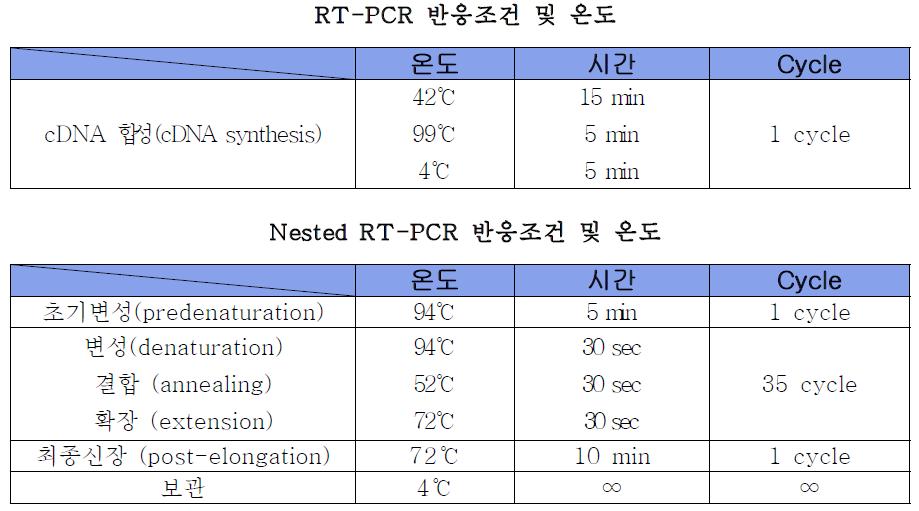 RT-PCR 및 Nested RT-PCR 반응조건 및 온도