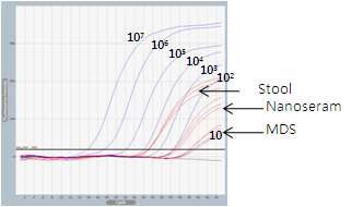 Stool과 Nanoceram, MDS필터를 사용한 최종농축액의 HEV Realtime RT-PCR 비교 결과