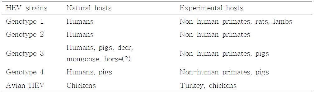 Host range and cross-species infection of the hepatitis E virus (HEV) under natural and experimental conditions. [Reference: Veterinary Microbiology (2008) in press]