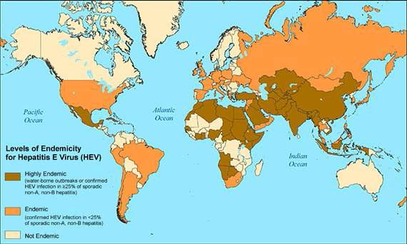 국가별 E형 간염 발병률.
