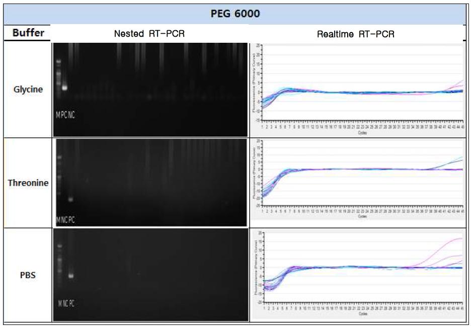 Buffer에 따른 PEG 농축법의 결과