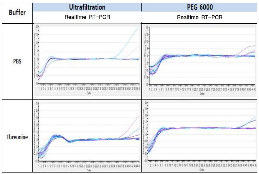 Buffer와 농축법에 따른 Realtime RT-PCR 민감도 비교 (sample 1g)