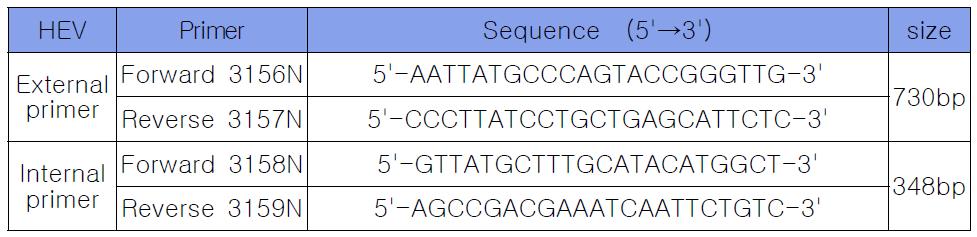 E형 간염바이러스 RT-PCR primer염기서열