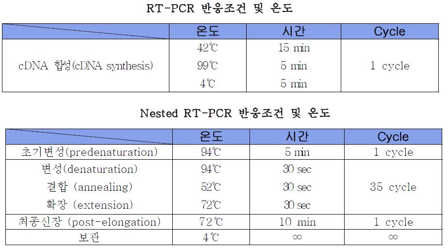 RT-PCR 및 Nested RT-PCR 반응조건 및 온도