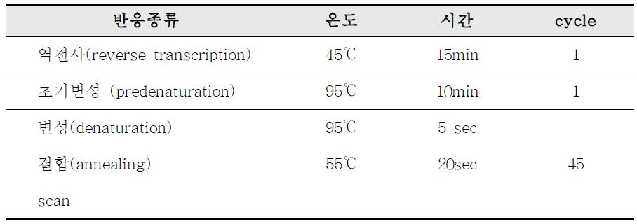 Realtime One-step RT-PCR 반응조건