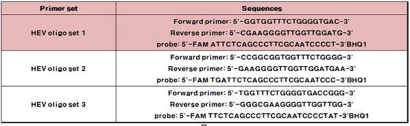 Realtime RT-PCR primer design for HEV