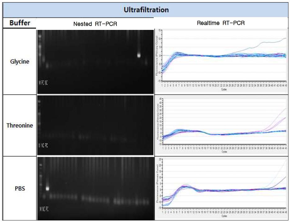Buffer에 따른 Ultrafiltration 농축법의 결과