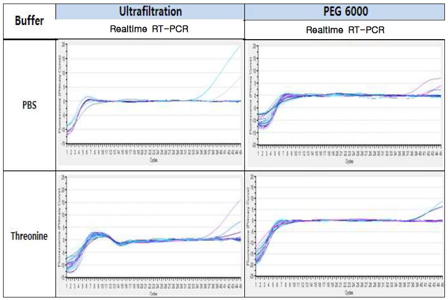 Buffer와 농축법에 따른 Realtime RT-PCR 민감도 비교 (sample 1g)