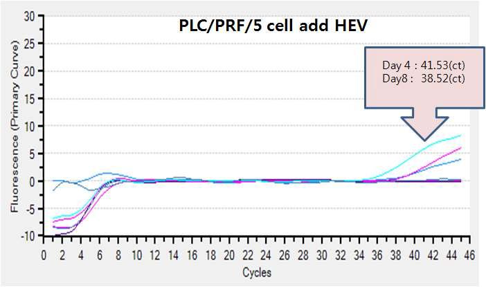 PLC/PRF/5 cell add HEV