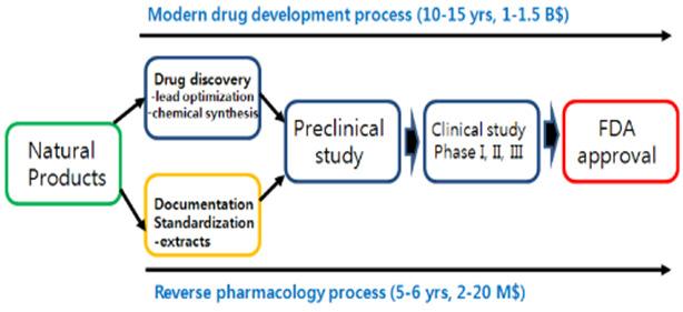 Drug Development Process