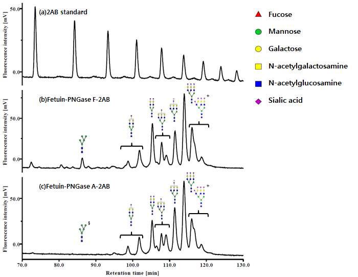 2AB 형광 표지된 Fetuin N-당사슬의 HPLC spectrum