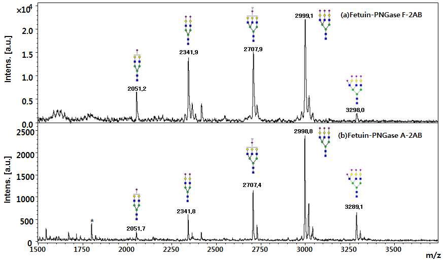 2AB 형광 표지한 Fetuin N-당사슬의 MS spectrum