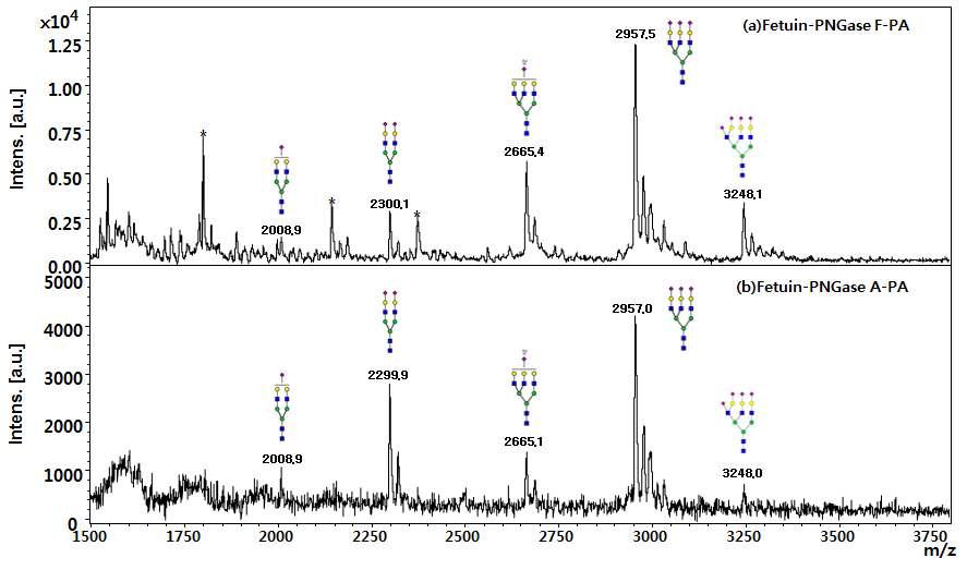 PA 형광 표지한 Fetuin N-당사슬의 MS spectrum