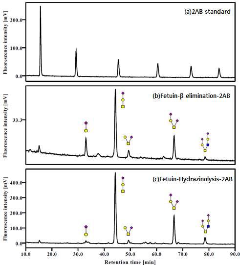 2AB 라벨된 Fetuin O-당사슬의 HPLC spectrum