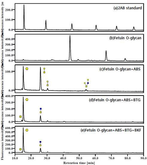 exoglycosidase 처리한 Fetuin O-당사슬의 HPLC spectrum