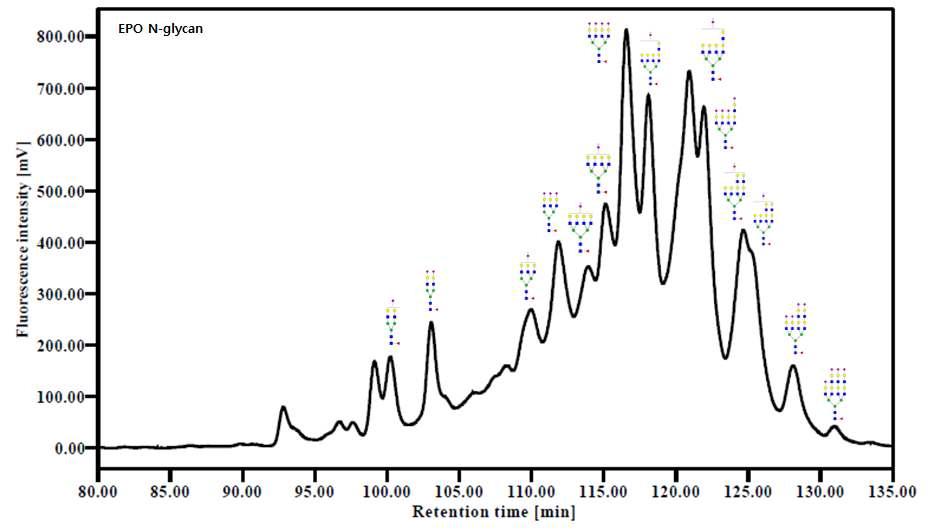 PNGase A를 이용하여 유리시킨 2AB 형광 표지된 EPO N-당사슬의 HPLC spectrum.