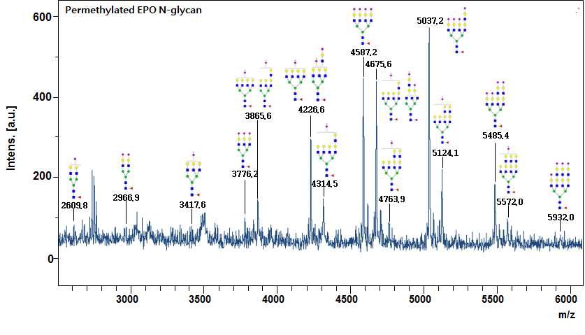 Permethylation한 EPO N-당사슬의 MS spectrum.