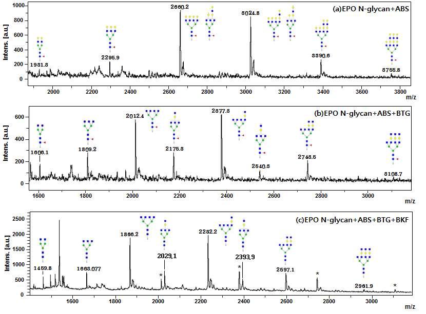 exoglycosidase 처리한 EPO N-당사슬의 MS spectrum
