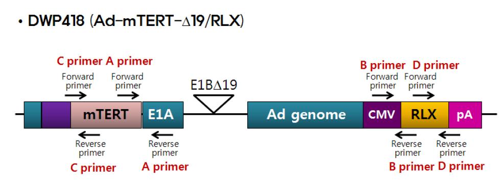 DW P418에 특이적인 primer의 합성