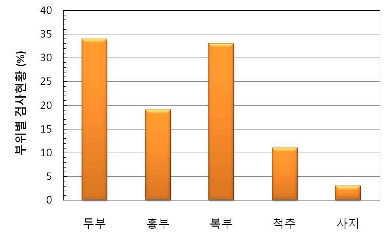 국내의 신체부위별 CT검사 현황