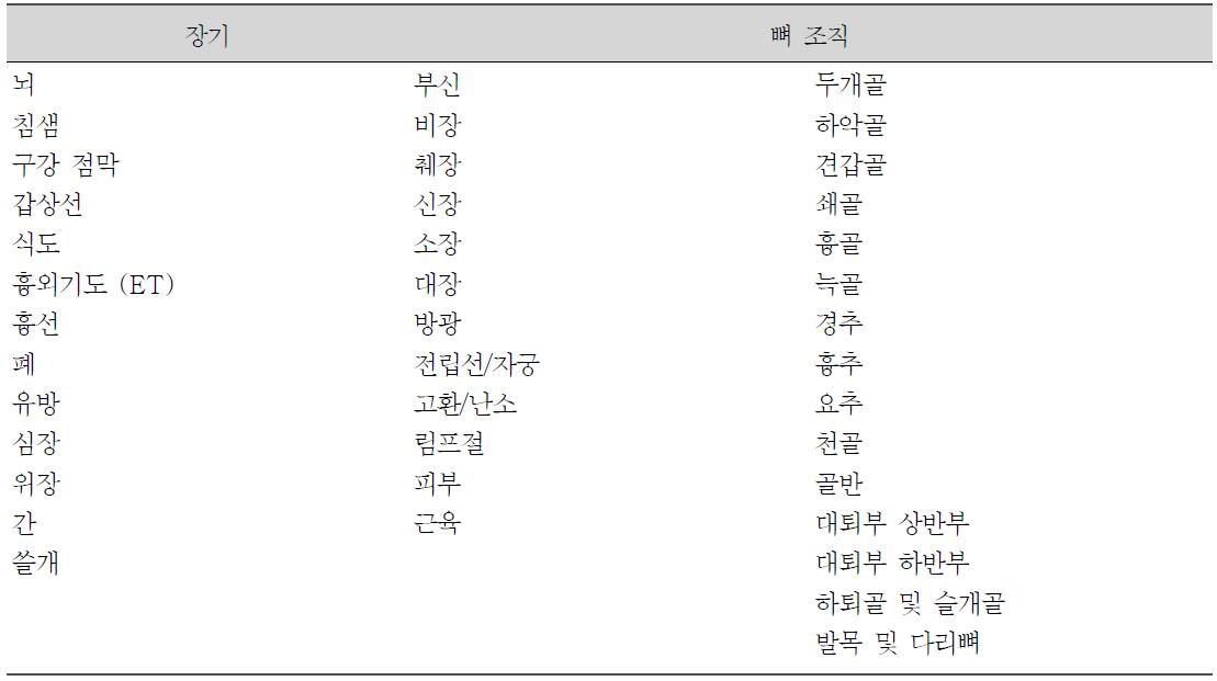 선량평가에 사용된 장기 및 뼈 조직