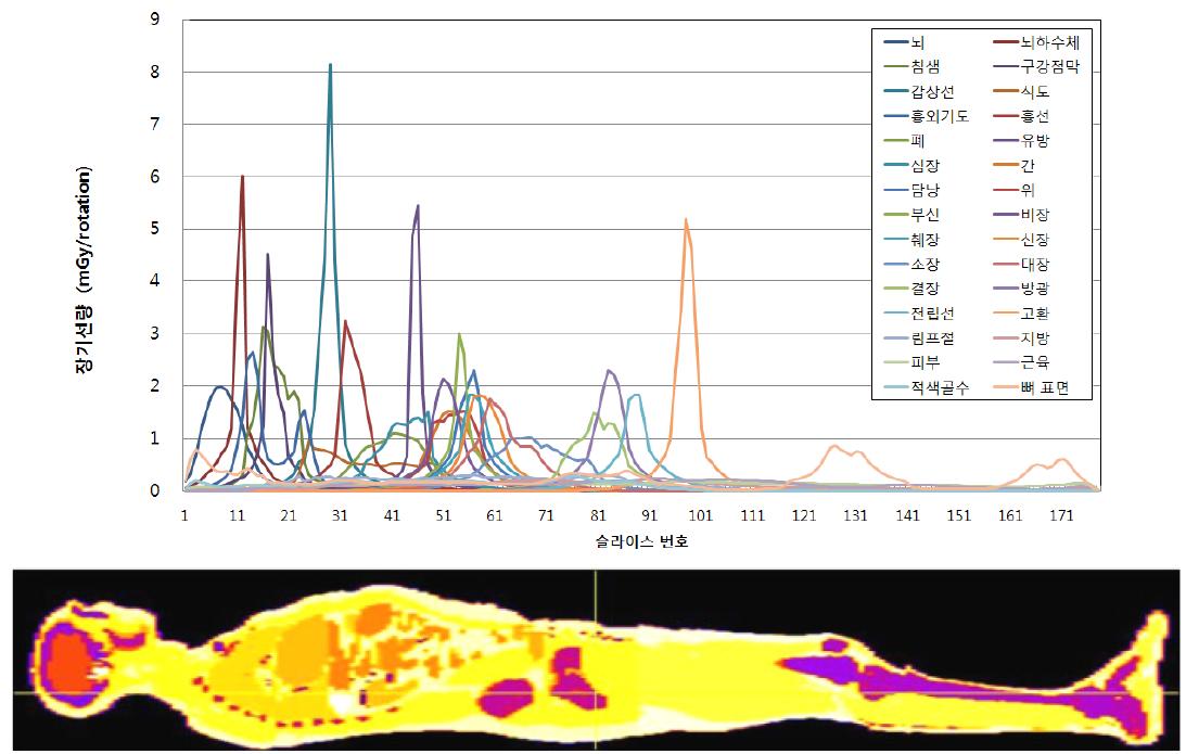 ICRP 110 성인 남성 팬텀에서 슬라이스별 나타나는 장기선량