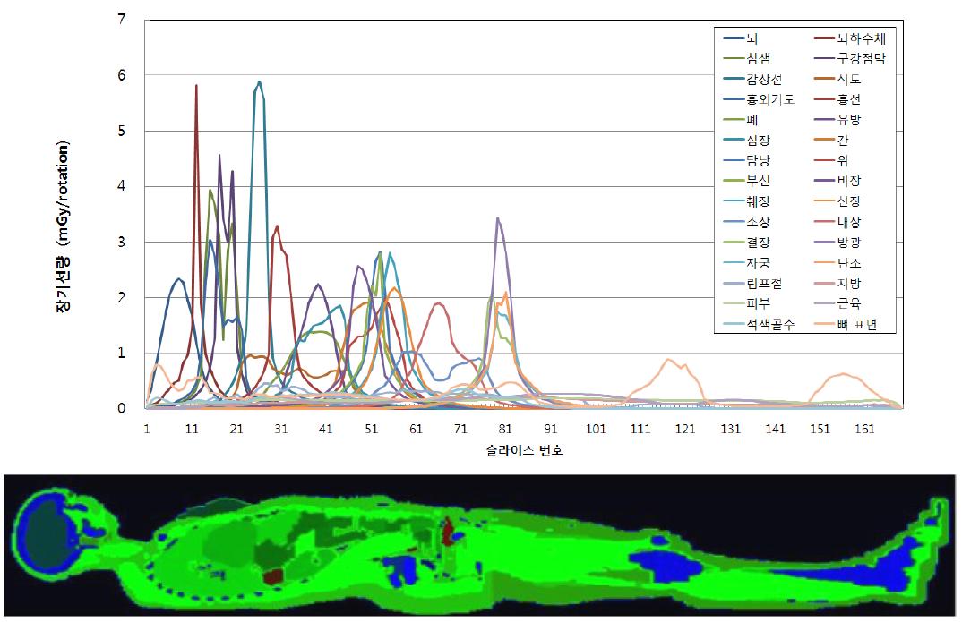 ICRP 110 성인 여성 팬텀에서 슬라이스별 나타나는 장기선량