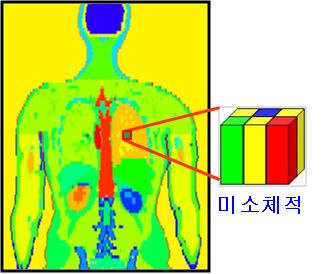 ICRP 110 팬텀의 직육면체 미소체적