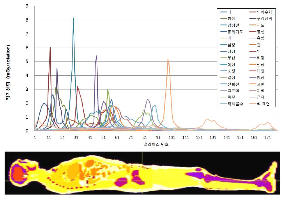ICRP 110 성인 남성 팬텀에서 슬라이스별 나타나는 장기선량