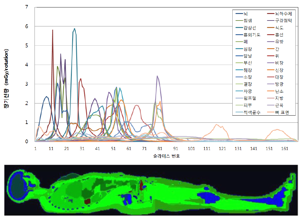 ICRP 110 성인 여성 팬텀에서 슬라이스별 나타나는 장기선량