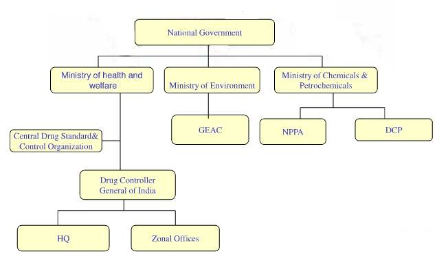 그림 5 The Regulatory Affairs Organization Chart