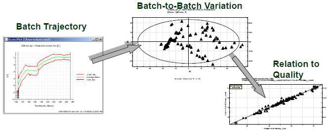 다변량모델(Multivariate model)을 통한 배취(Batch)-배취 가변성의 최소화