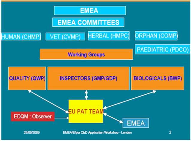 PAT team 및 EMEA의 조직 및 역할
