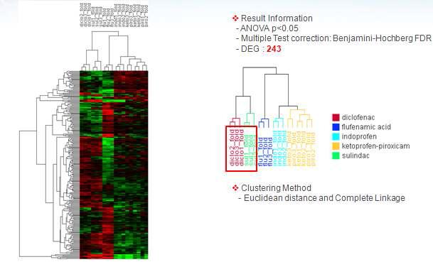 NSAID처리에 따른 HepG2 세포의 유의유전자발현 프로파일 및 clustering 결과