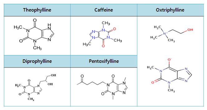 크산틴계 의약품의 화학 구조