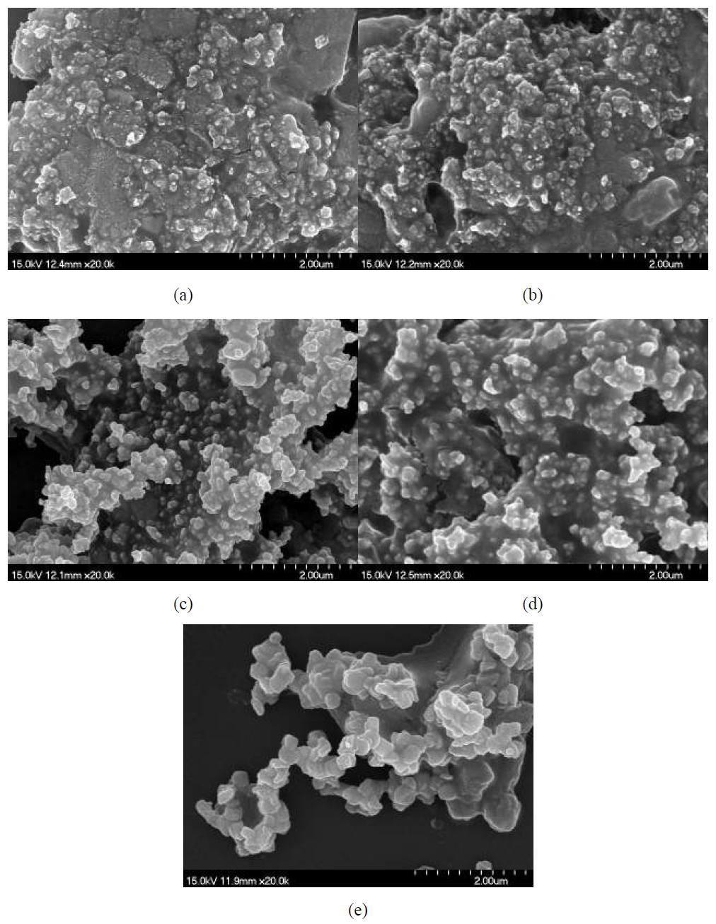 SEM micrographs of Fe2O3 in DMEM(medium): (a) Fe2O3 NPAE (b) C-Fe2O3 NPAE (c) Fe2O3 MPAE (d) C-Fe2O3 MPAE (e) C-Fe2O3 MPAA (scale bars : 2 μm)