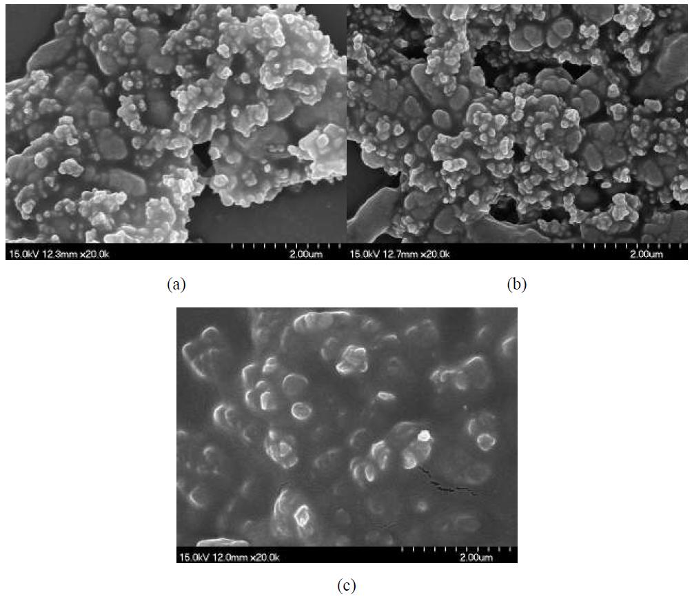 SEM micrographs of Fe2O3 in DMEM/F12(medium): (a) Fe2O3 MPAE (b) C-Fe2O3 MPAE (c) Fe2O3 MPAA (scale bars : 2 μm)