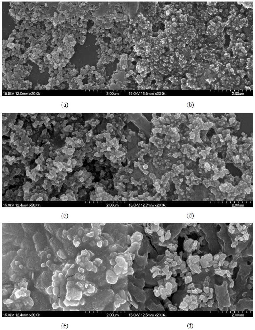 SEM micrographs of Fe2O3 in RPMI(medium): (a) Fe2O3 NPAE (b) C-Fe2O3 NPAE (c) Fe2O3 MPAE (d) C-Fe2O3 MPAE (e) Fe2O3 MPAA (f) C-Fe2O3 MPAA (scale bars : 2 μm)