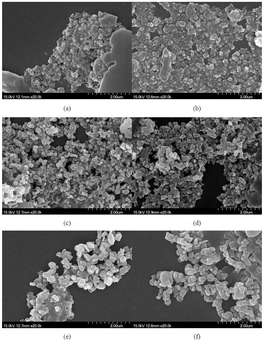 SEM micrographs of Fe2O3 in DPBS(medium): (a) Fe2O3 NPAE (b) C-Fe2O3 NPAE (c) Fe2O3 MPAE (d) C-Fe2O3 MPAE (e) Fe2O3 MPAA (f) C-Fe2O3 MPAA (scale bars : 2 μm)