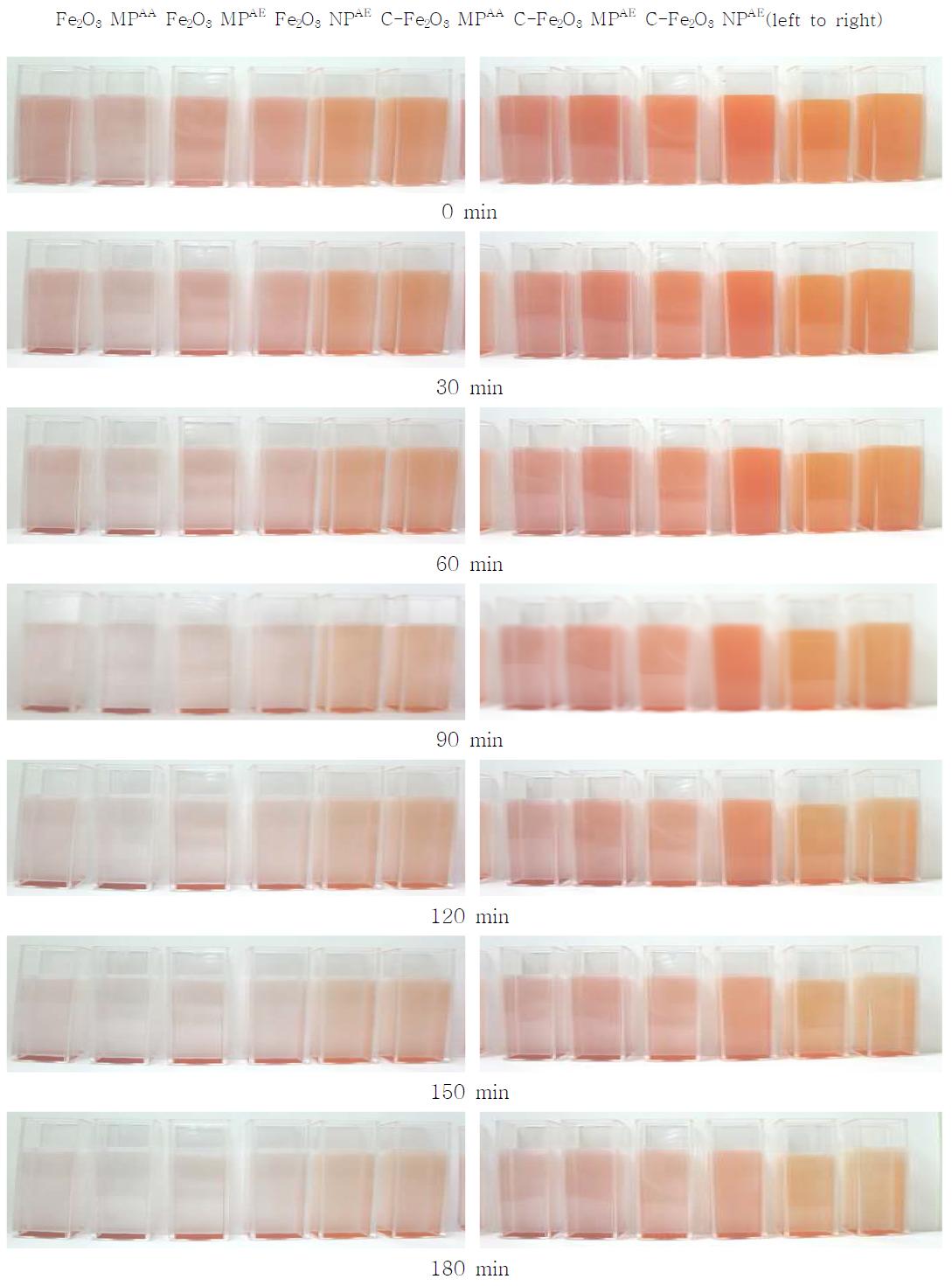 Sinking rate changes over time(30 minutes), left side : after incubation in cytosol, right side : before incubation in cytosol.